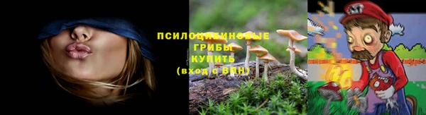 соль курить ск Арсеньев