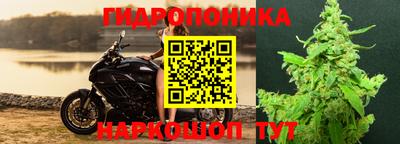 спайс Обь
