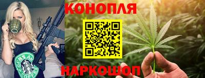 спайс Обь