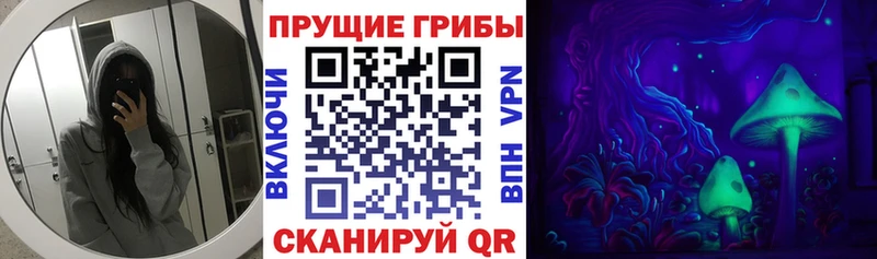Галлюциногенные грибы Psilocybine cubensis  цена   Шатура 