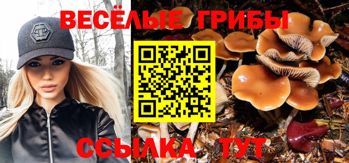 Шатура  Псилоцибиновые грибы Psilocybine cubensis  Вход с VPN  Галлюциногенные грибы Psilocybine cubensis 